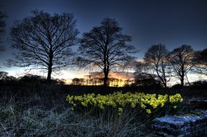 Barden Bolton View-c2.jpg